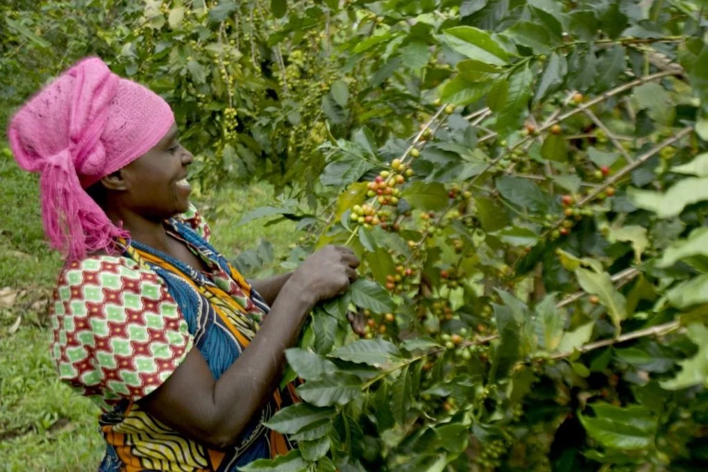 Coffee-farming community members with On the Ground