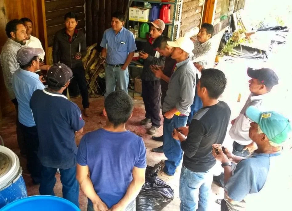 Coffee farmers at work in their community